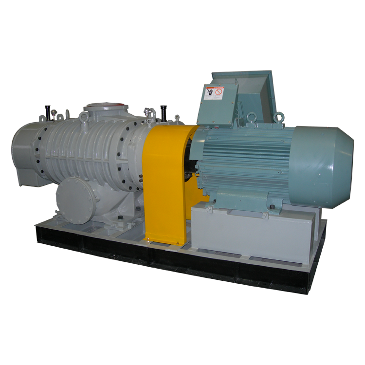 AR-V roots vacuum pump series